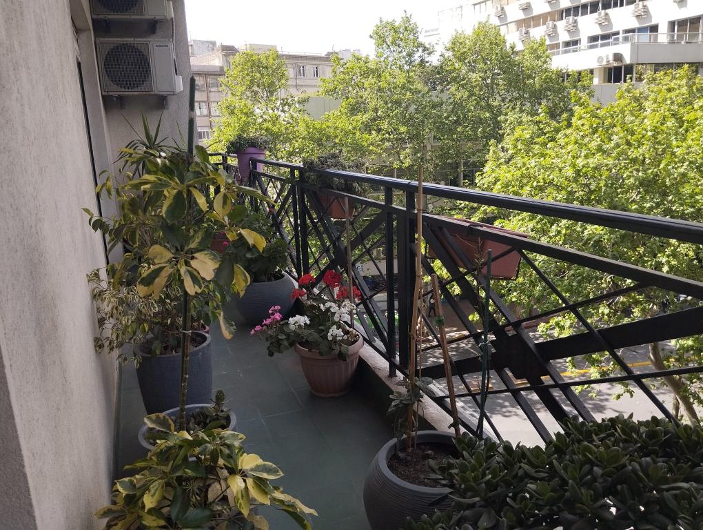 Apto de 4 dorm con gran vista