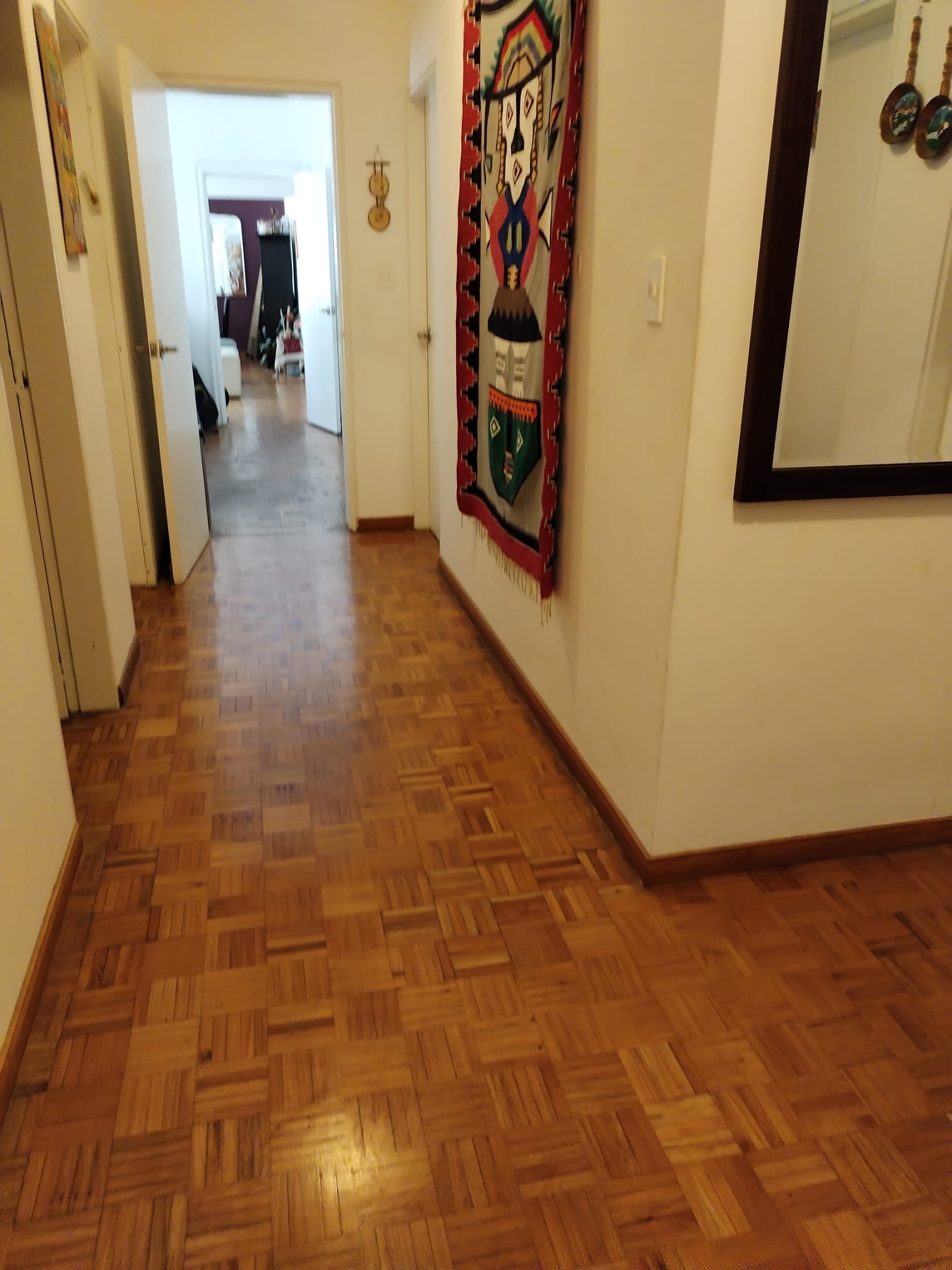 Gran apto en pta carretas