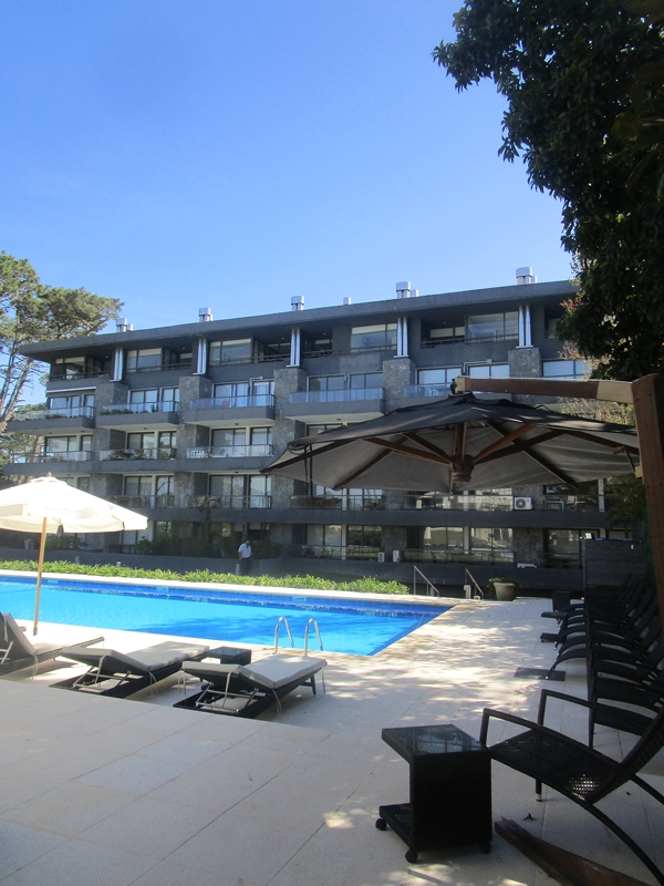 Hermoso Apto. 1 Dorm. En PDE