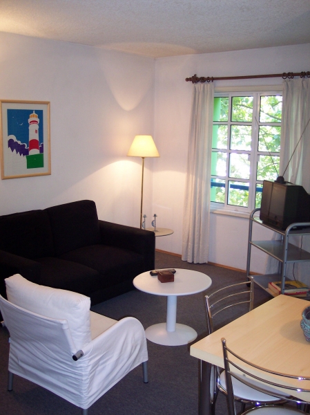 Apto 1 Dorm. En Pocitos