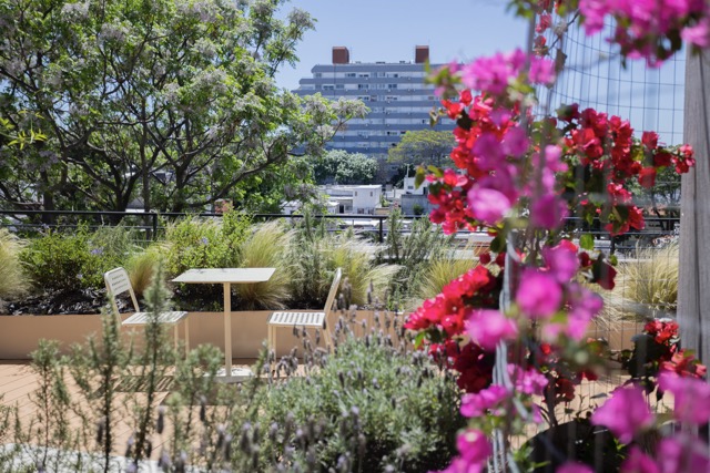 Penthouse a estrenar