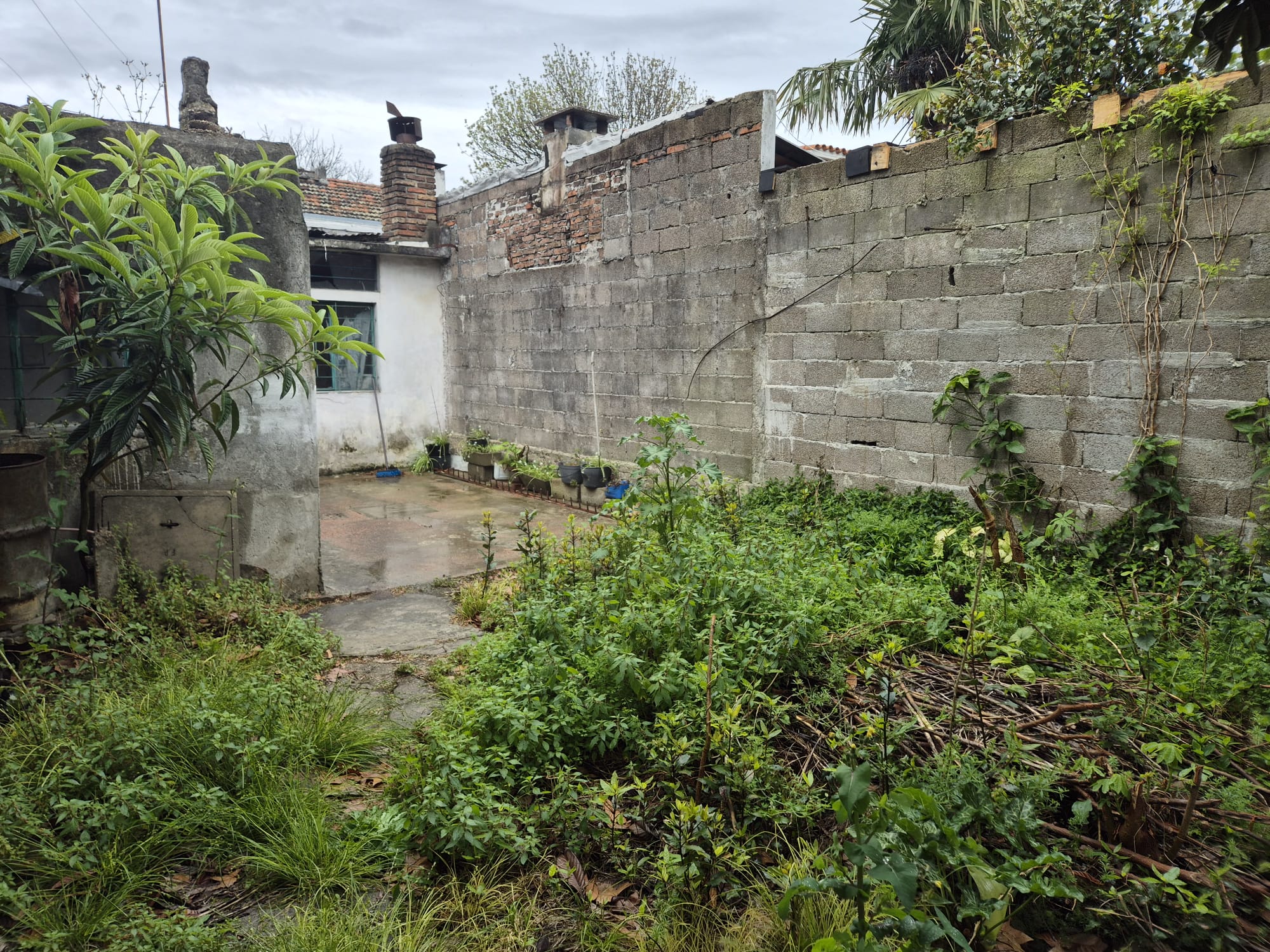 Terreno en Buceo