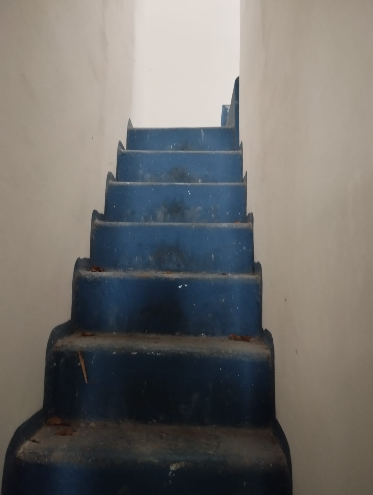 Gran casa en Pocitos Nuevo