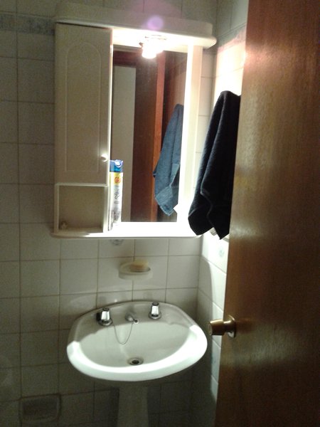 impecable monoambiente