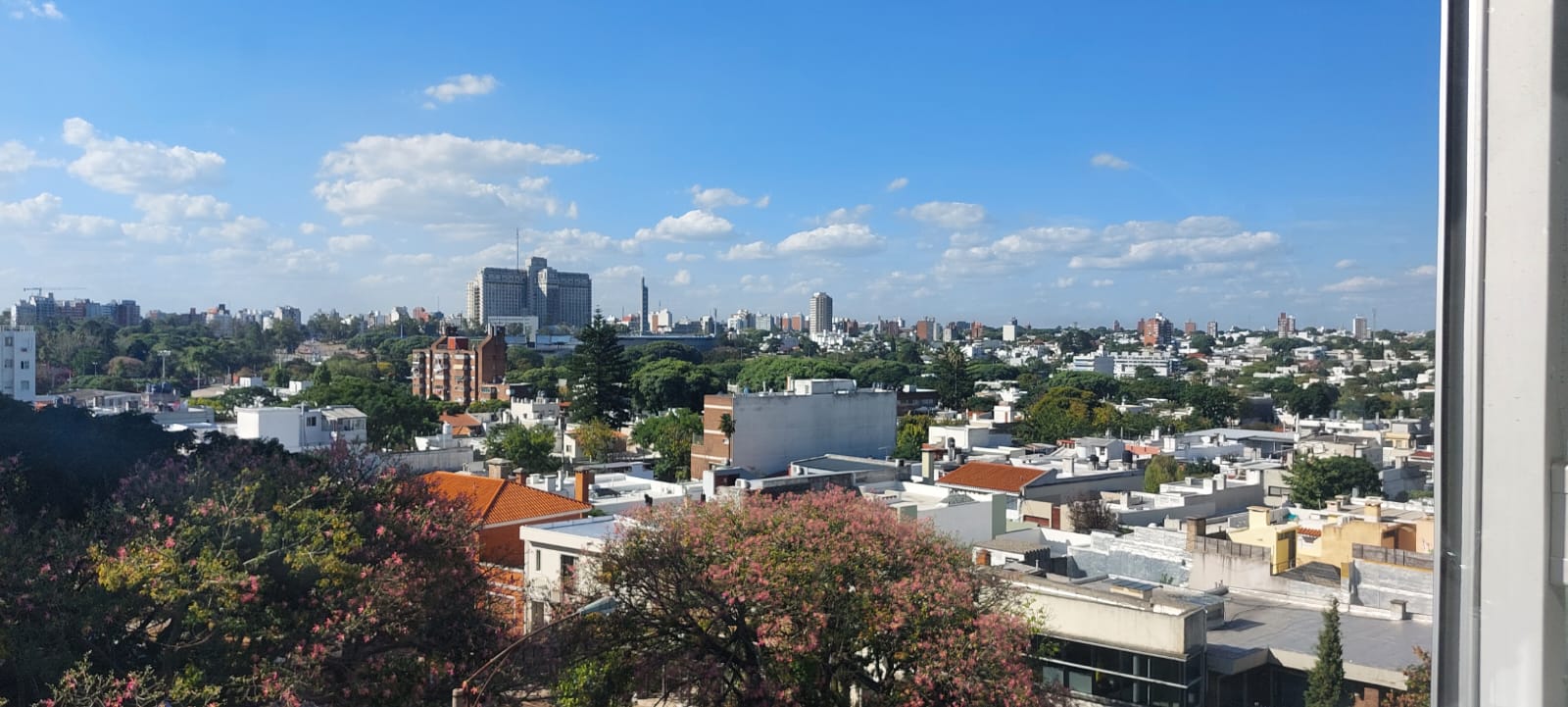 Apto 2 dorm en Pocitos