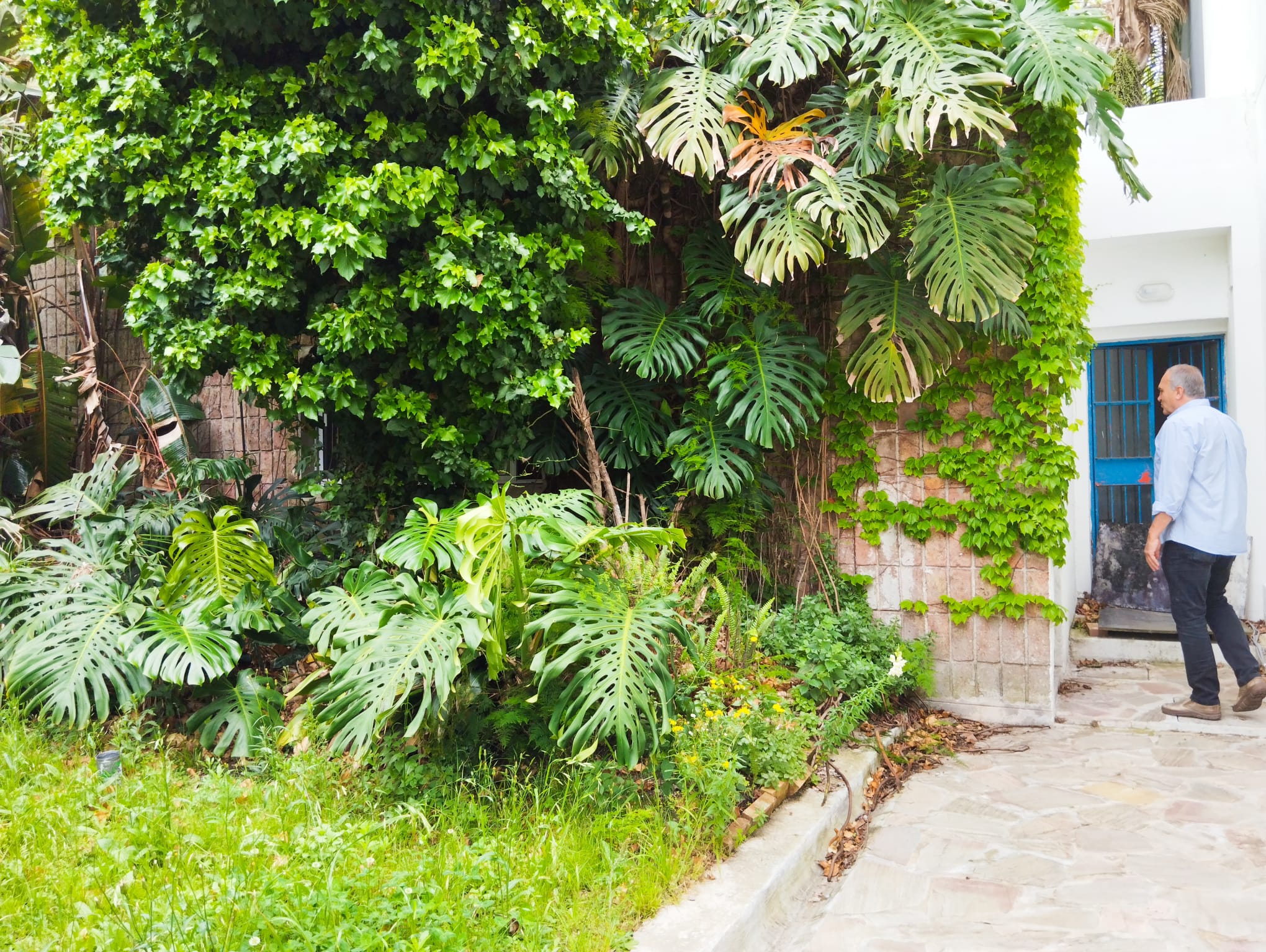 Gran casa en Pocitos Nuevo