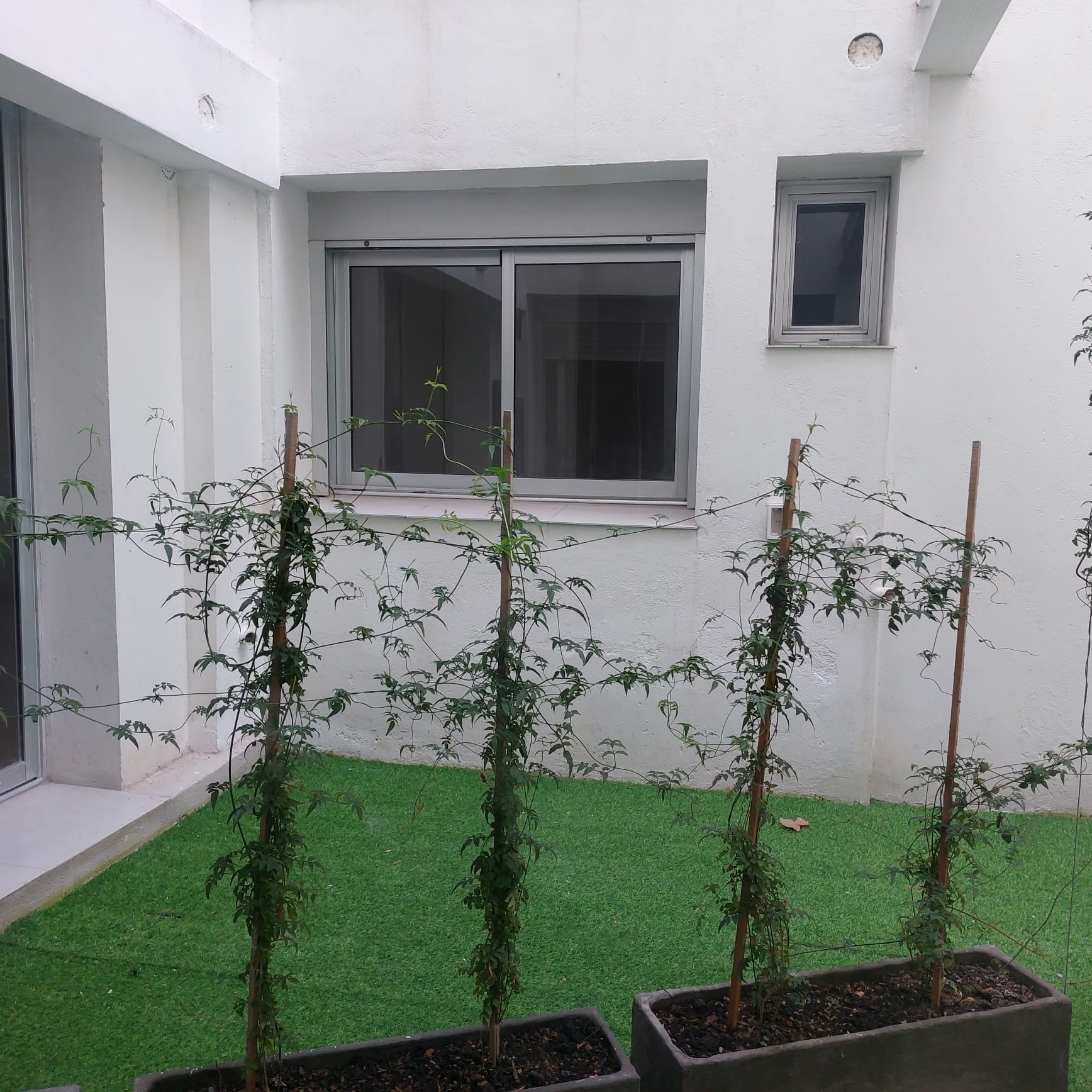 2 dorm con patio a estrenar