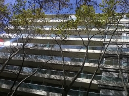 Pleno pocitos a estrenar